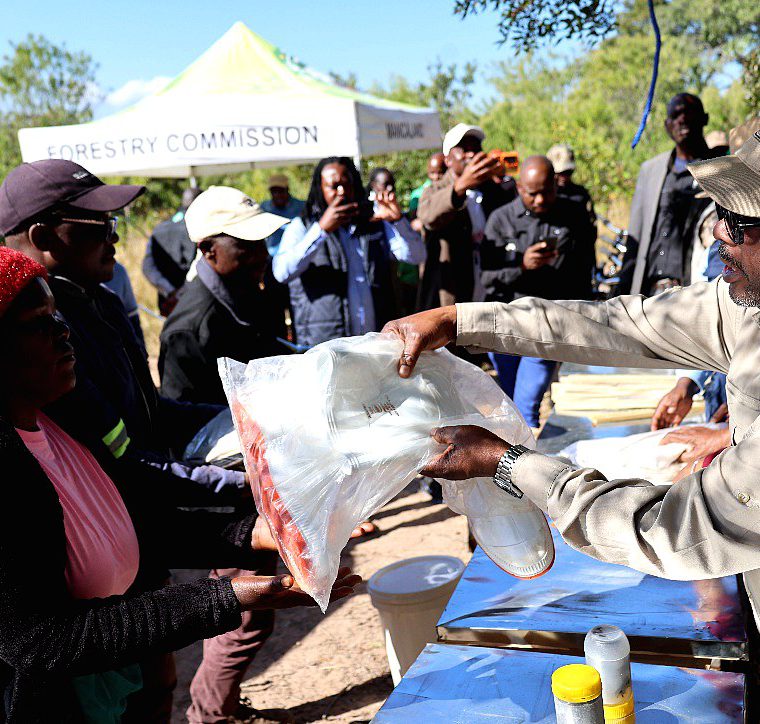 Forestry Commission staff working with a community group