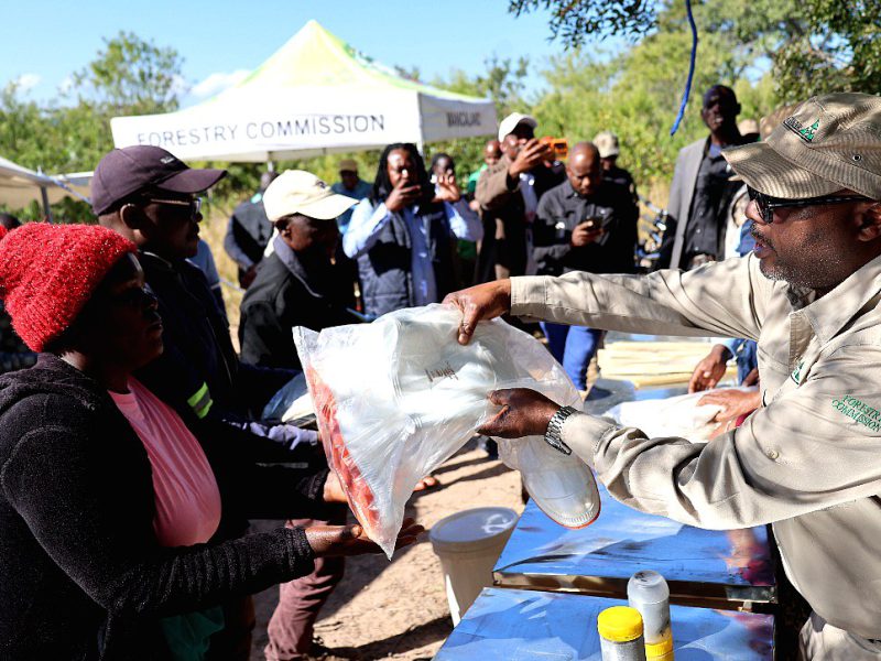 Forestry Commission staff handing planting material to community members at an outreach event