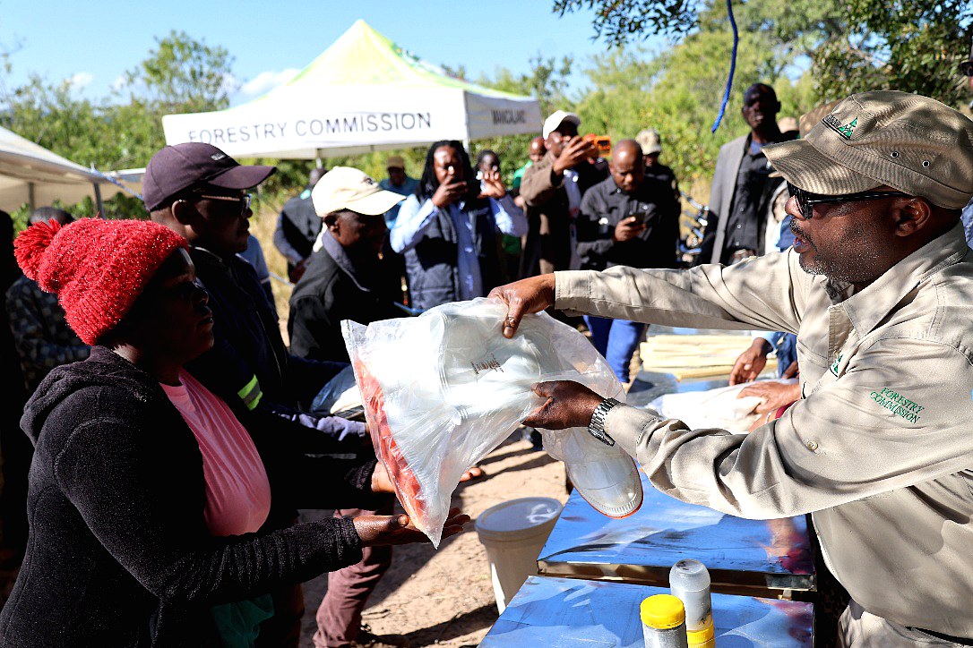 Forestry Commission staff working with a community group