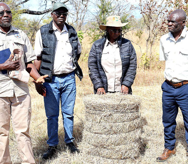 Members of a forest-based enterprise at work
