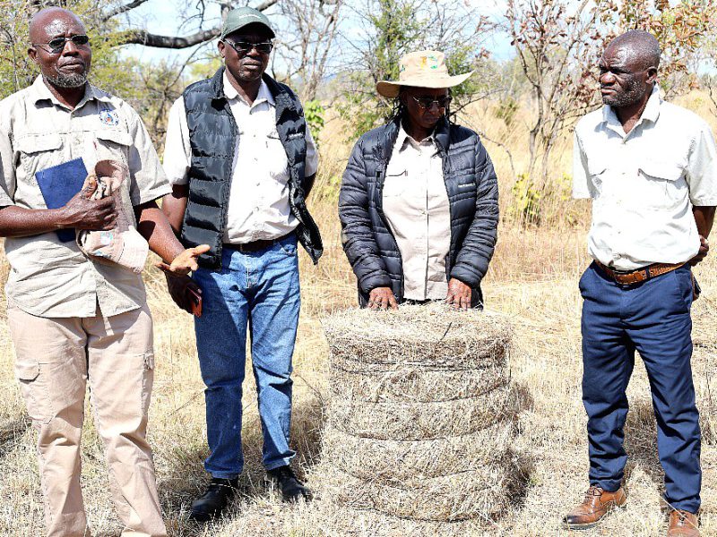 Forestry Commission officers and community members beside a forest enterprise demonstration