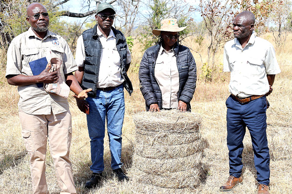 Members of a community forest enterprise at work